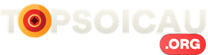 TOPSOICAU